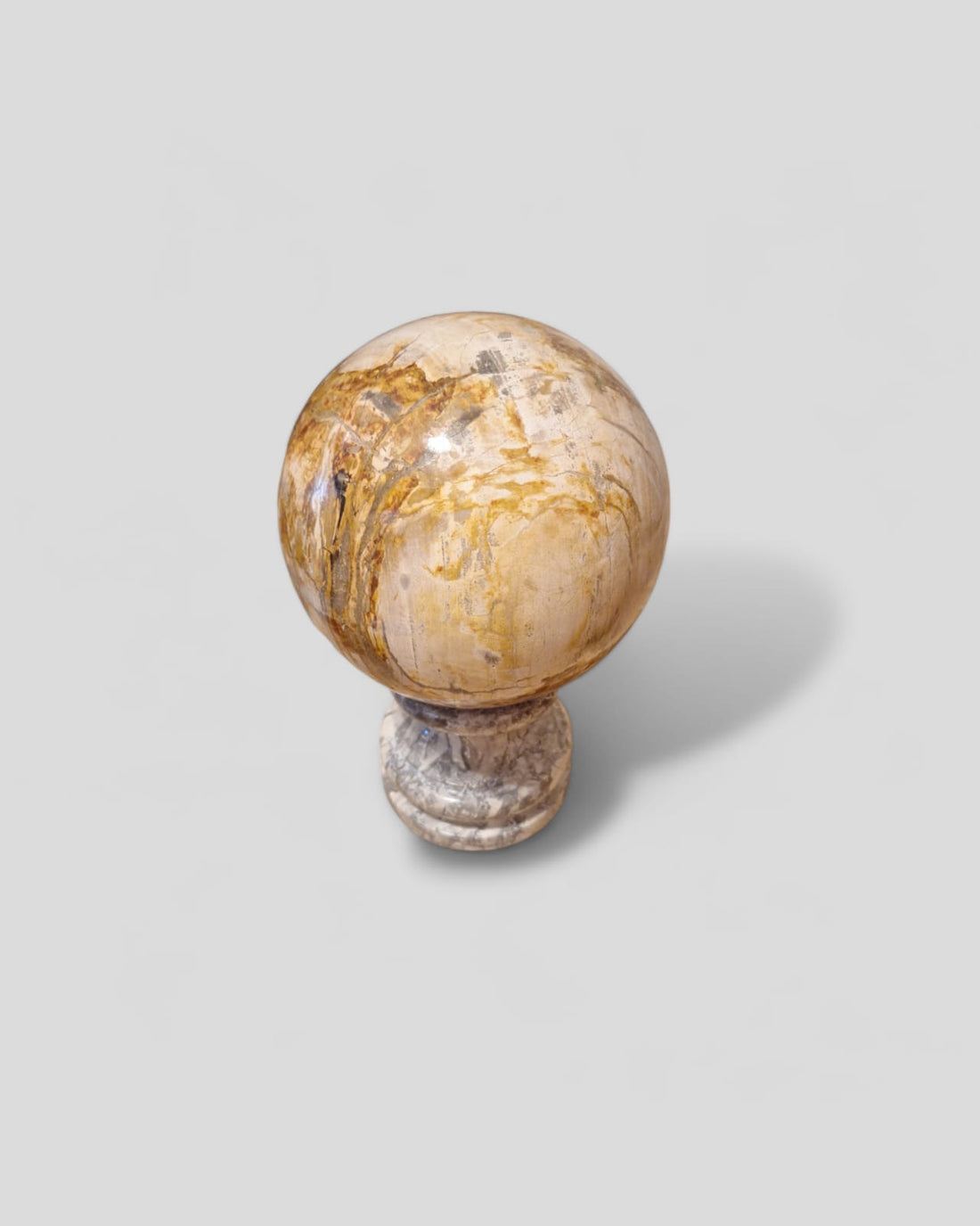 FOSSIL BALL TRINKET