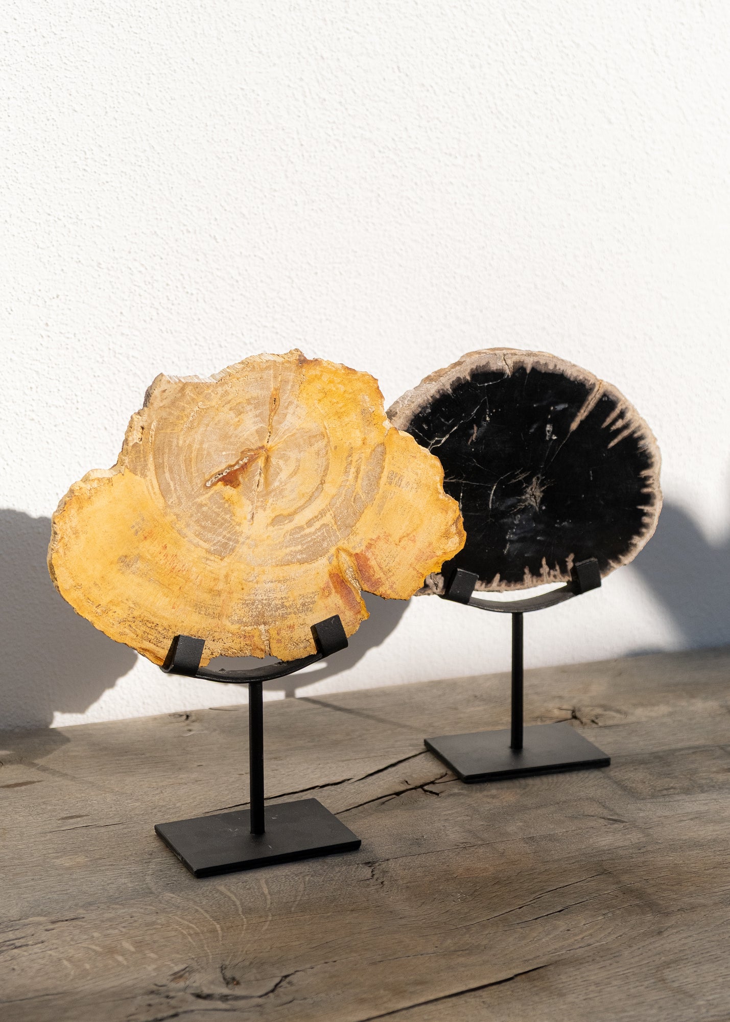 STANDLI FOSİL RİNG