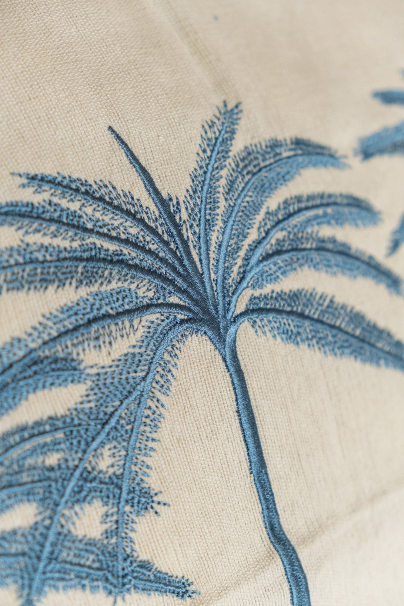 COTTON KIRLENT - 011