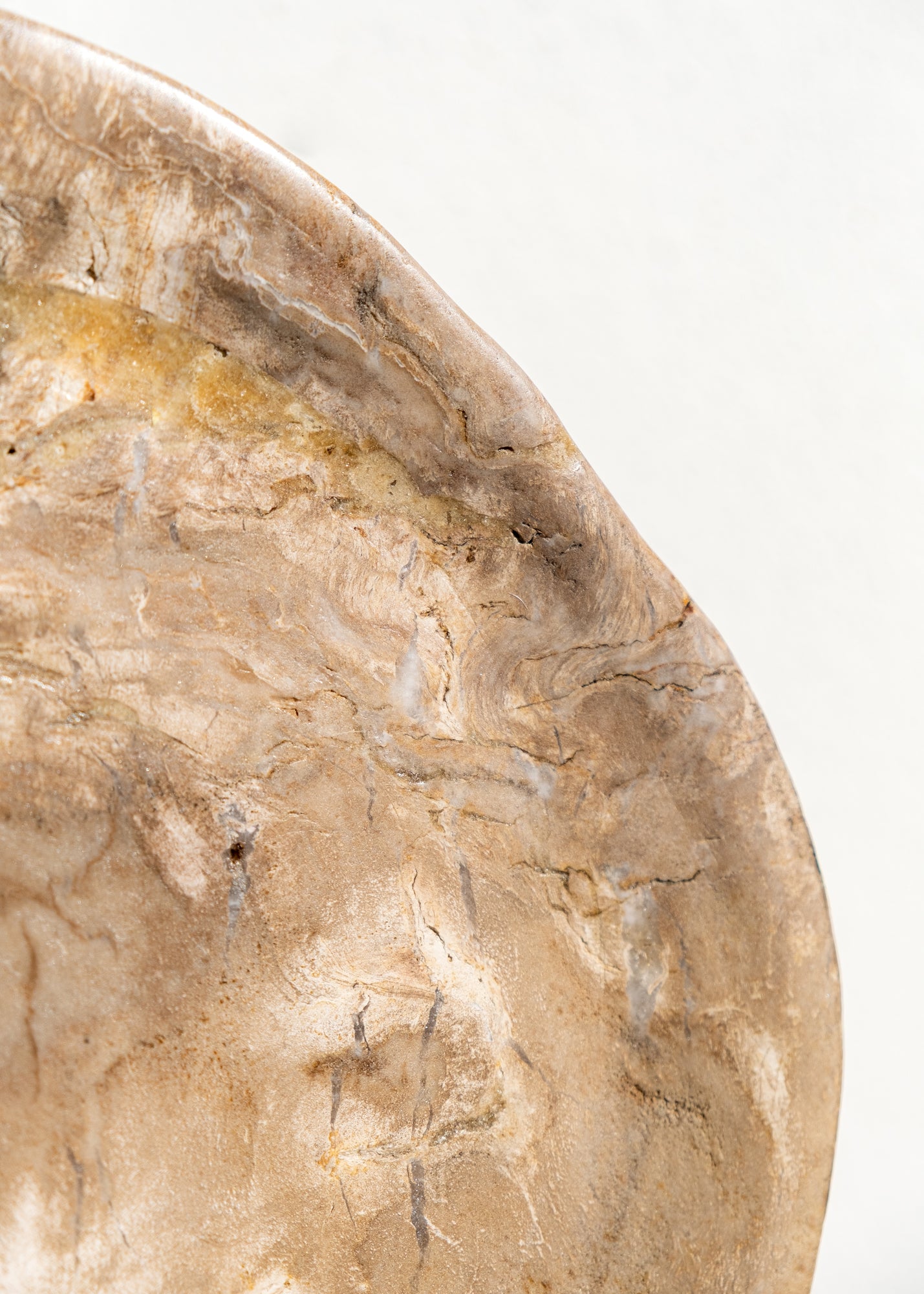 FOSİL SERVİS TABAĞI 004