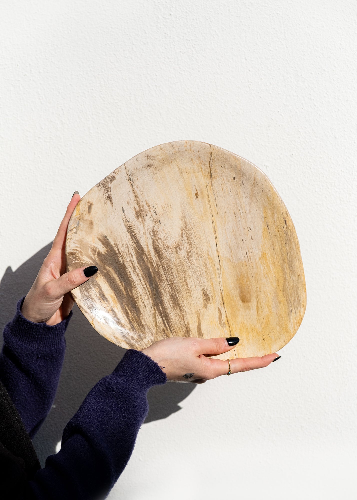 FOSİL SERVİS TABAĞI 003