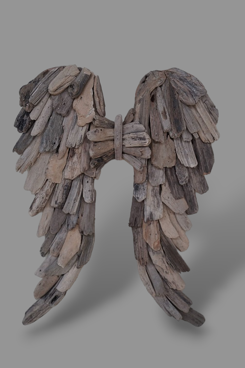 DINA WINGS