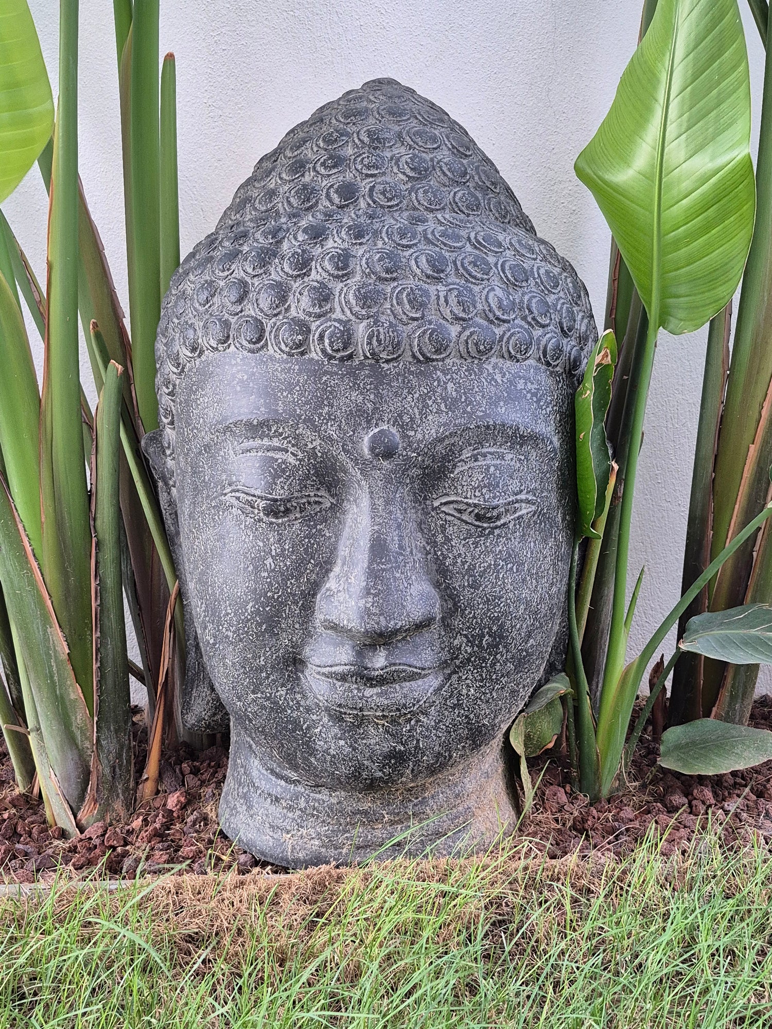 BUDDHA BUST 75CM