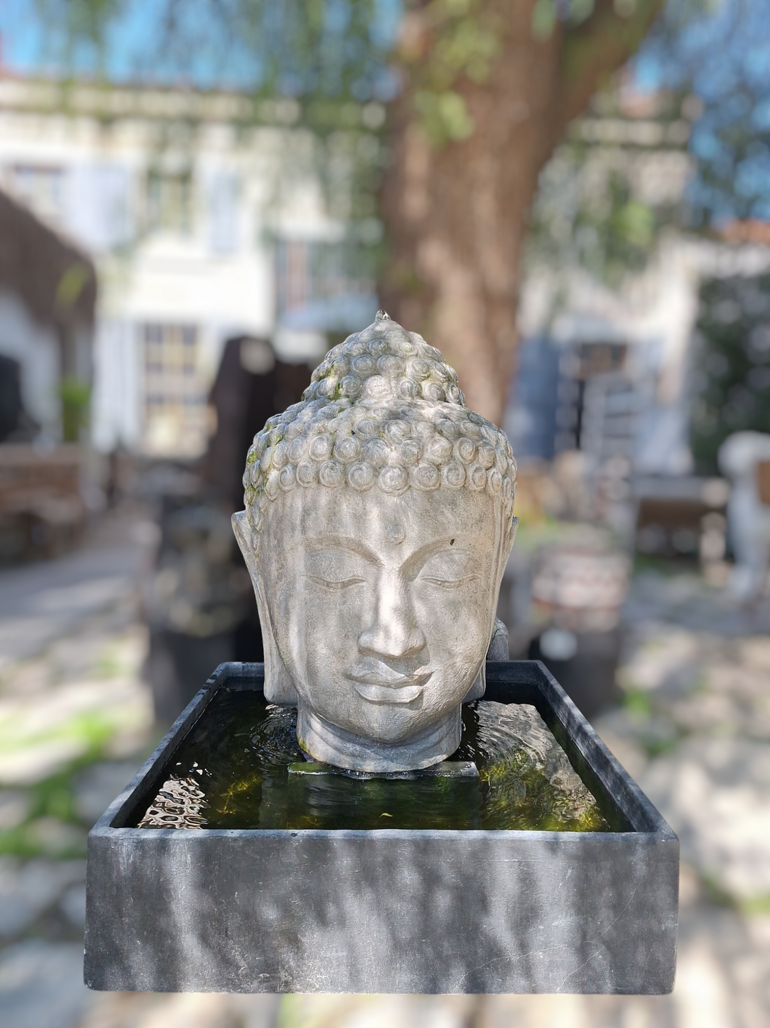 VARUNA POOL STATUE