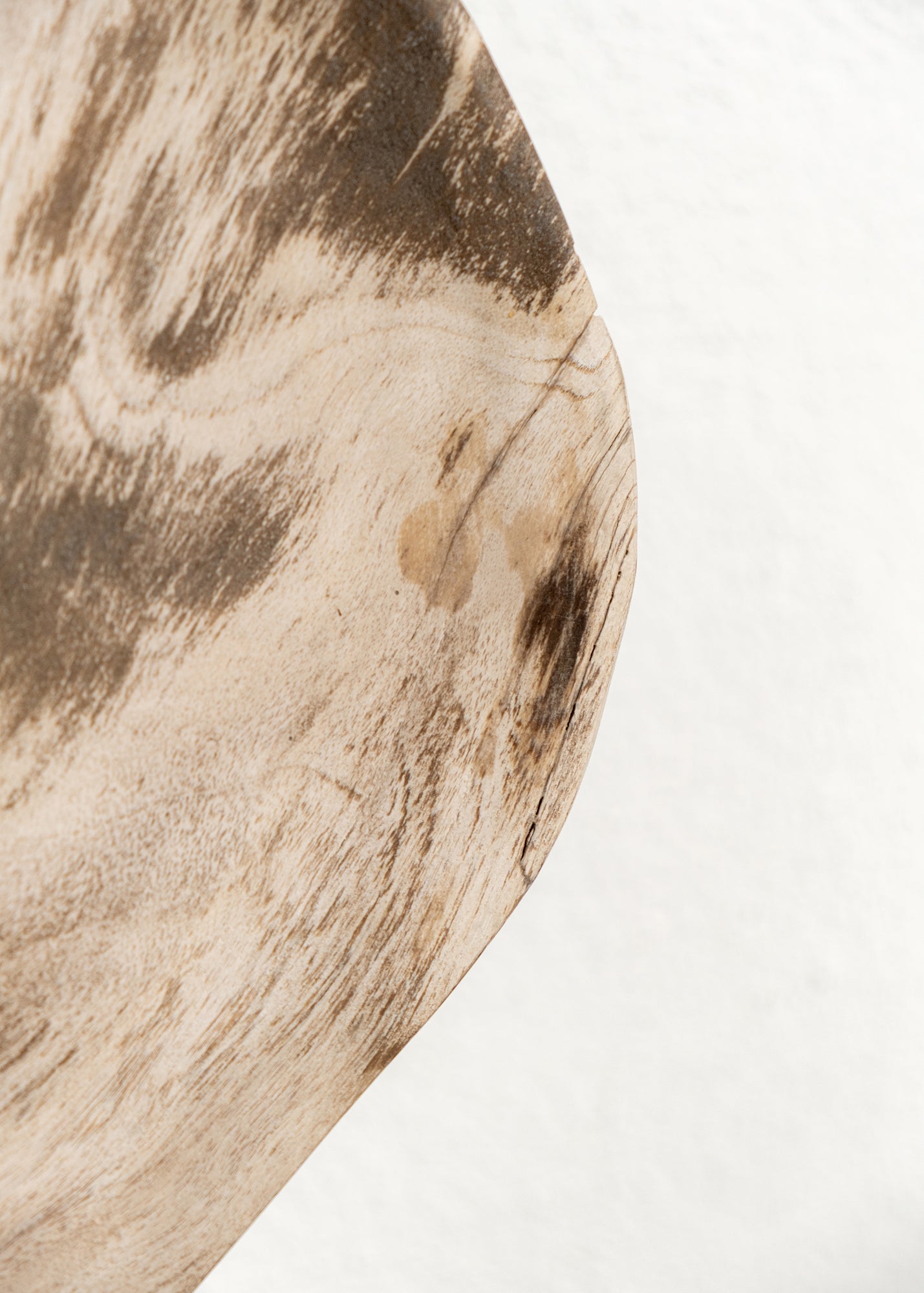 FOSİL SERVİS TABAĞI 001