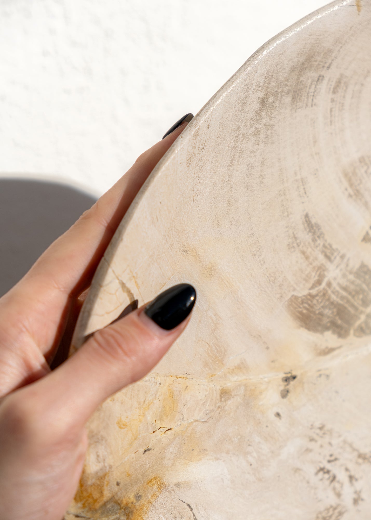 FOSİL SERVİS TABAĞI 005