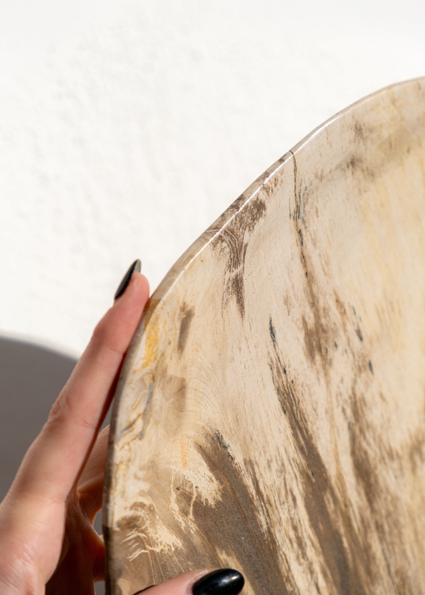 FOSİL SERVİS TABAĞI 003