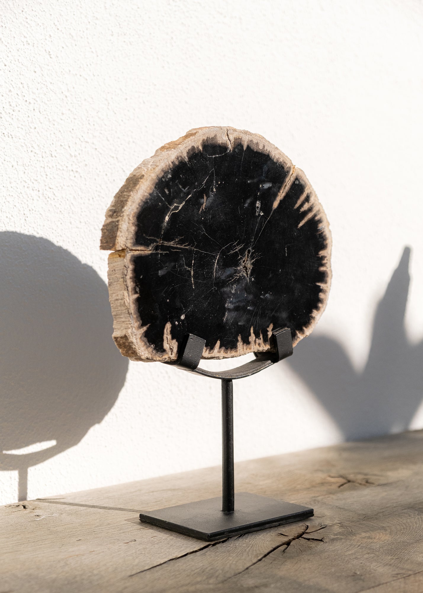 STANDLI FOSİL RİNG