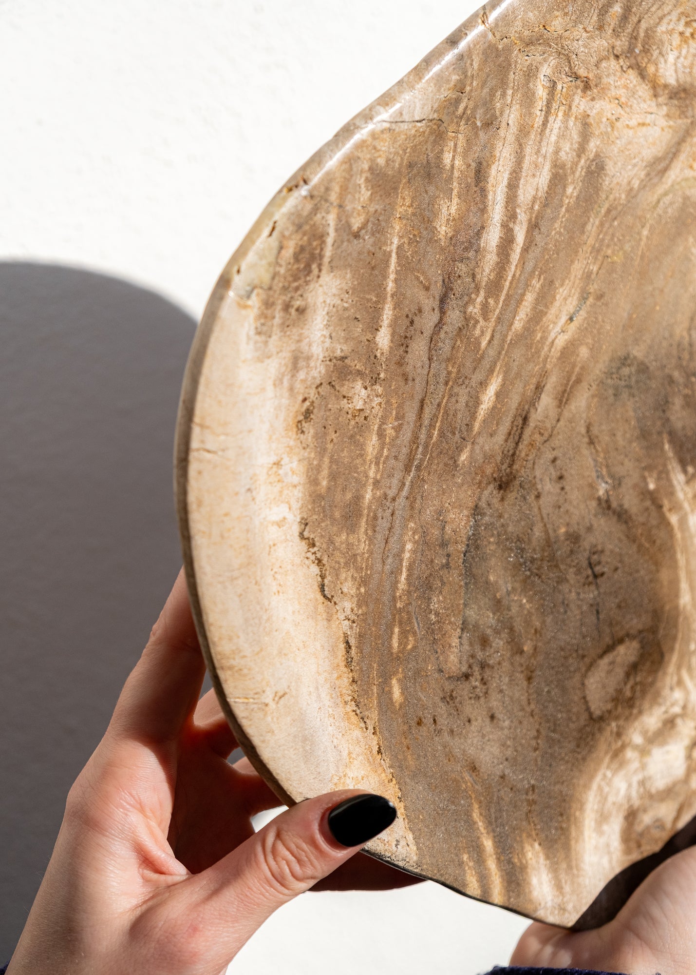 FOSİL SERVİS TABAĞI 004