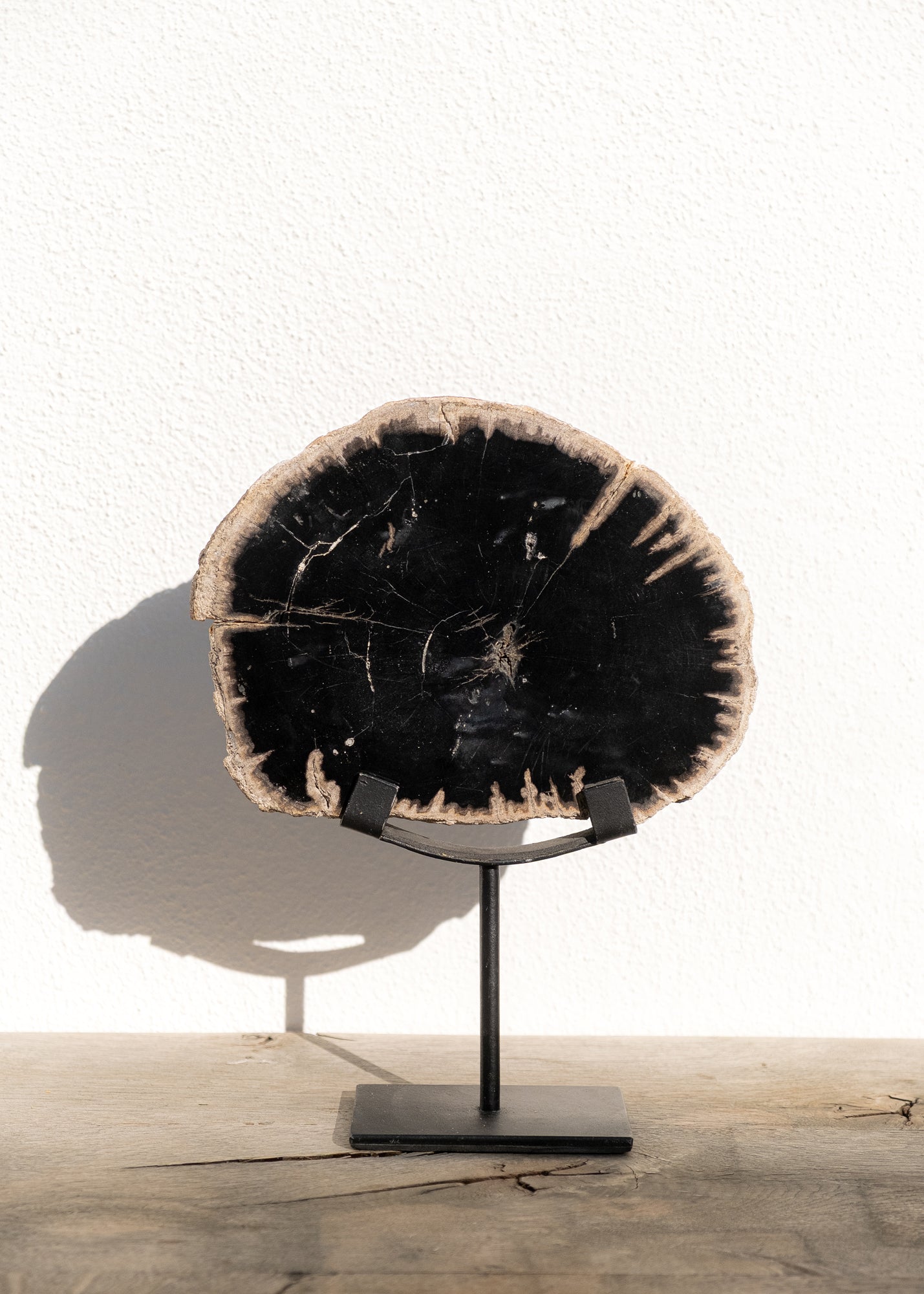 STANDLI FOSİL RİNG