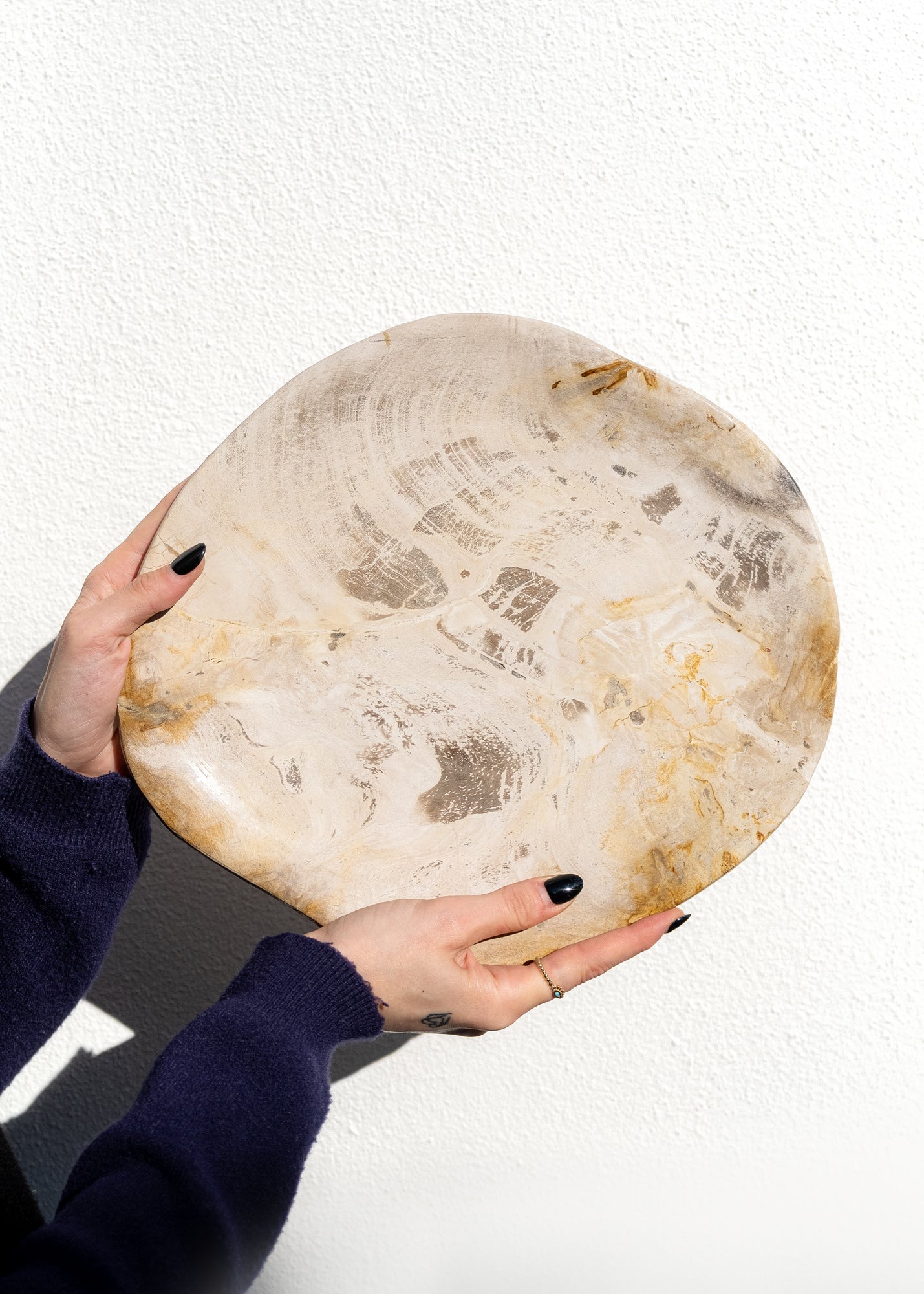 FOSİL SERVİS TABAĞI 005