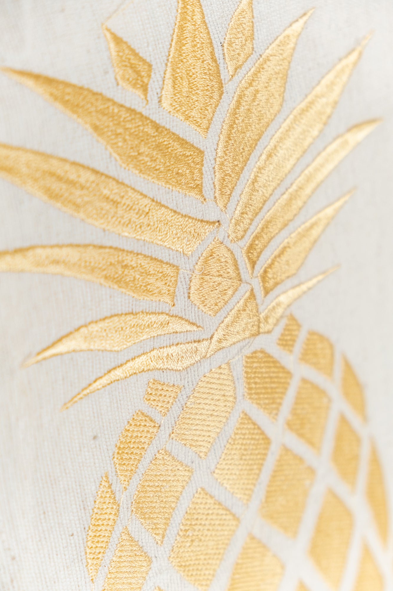 COTTON KIRLENT - 007