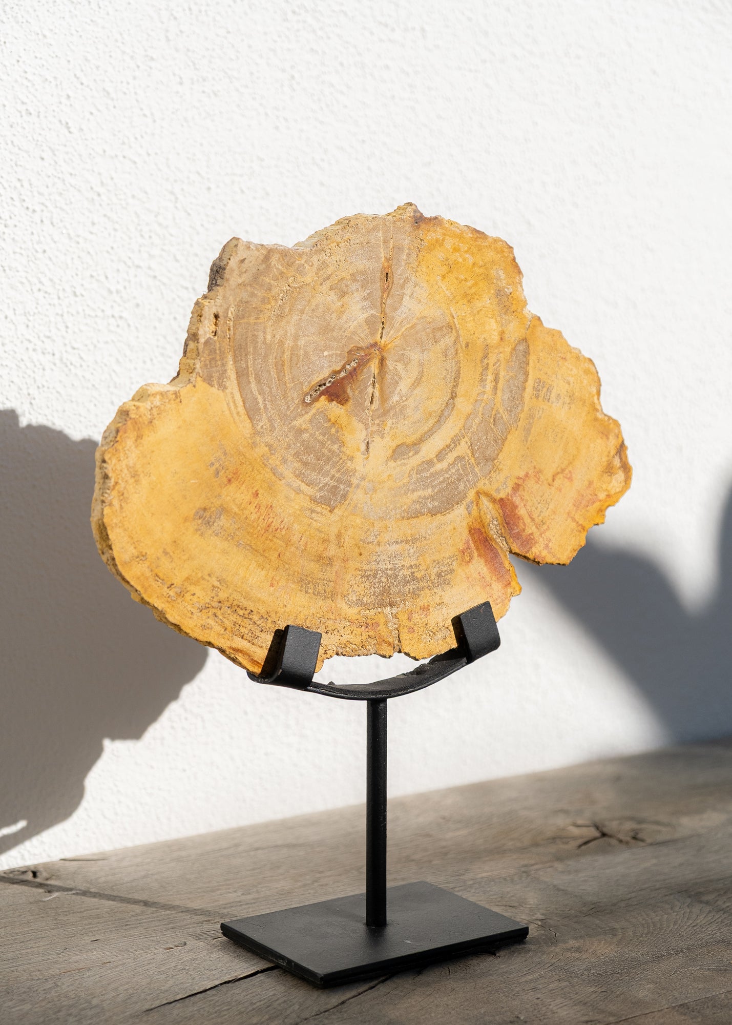 STANDLI FOSİL RİNG