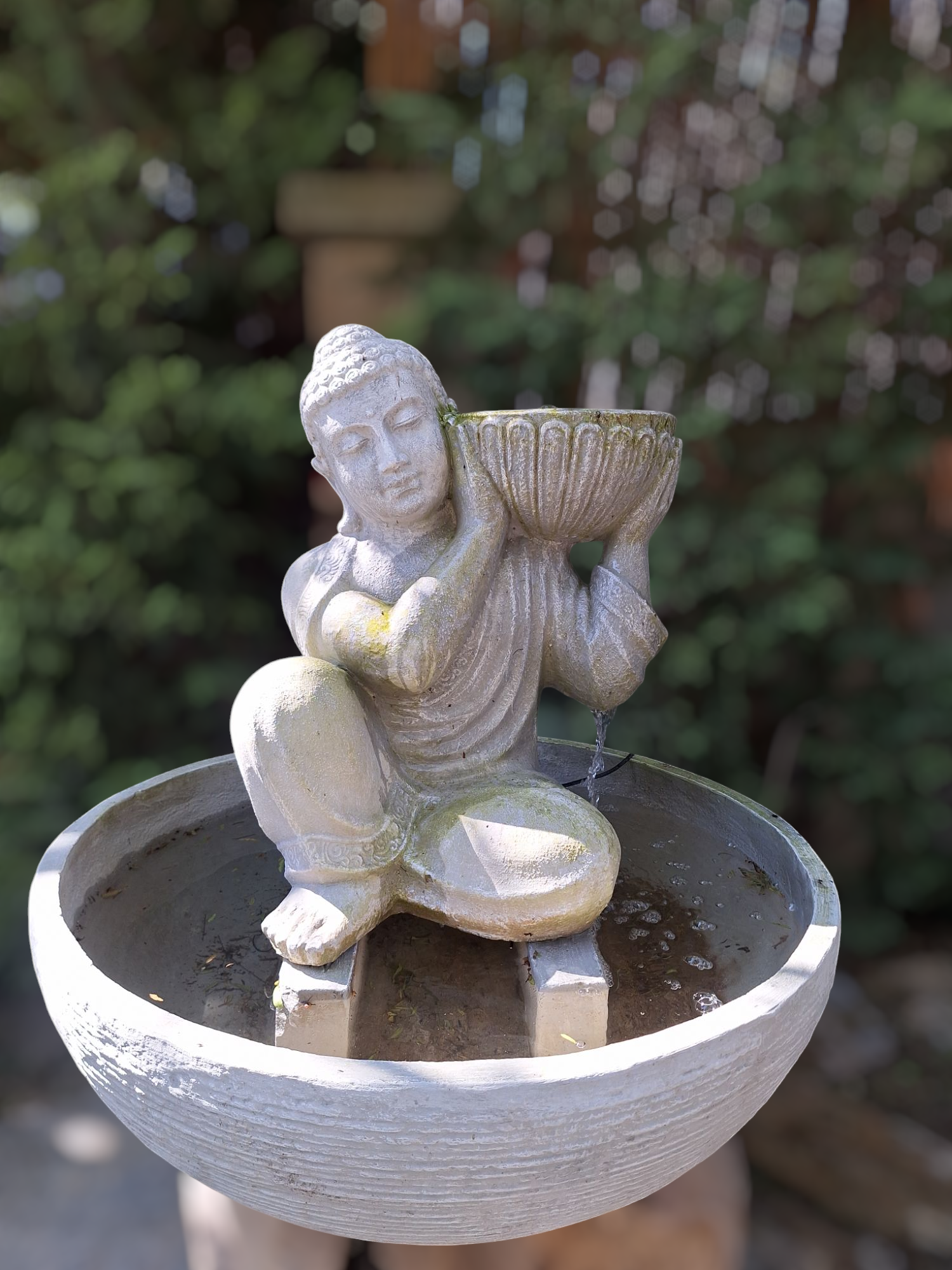 APAM NAPAT POOL SCULPTURE