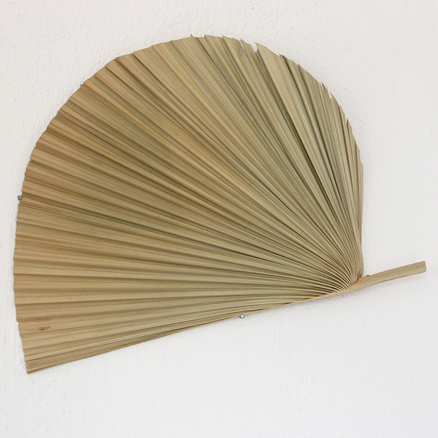 DECORATIVE PALM FAN