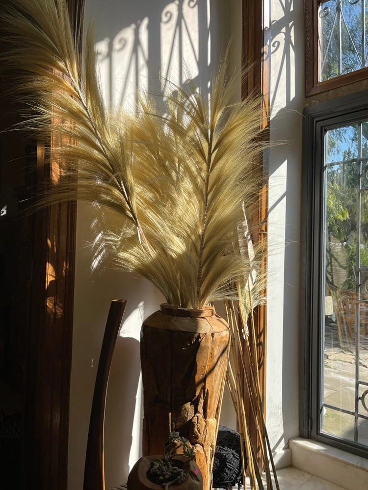CORN TASSEL LEAF